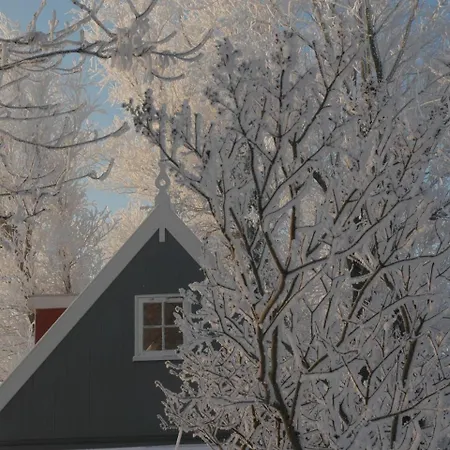 Quaint Holiday Home In Amsterdam Near Lake-3